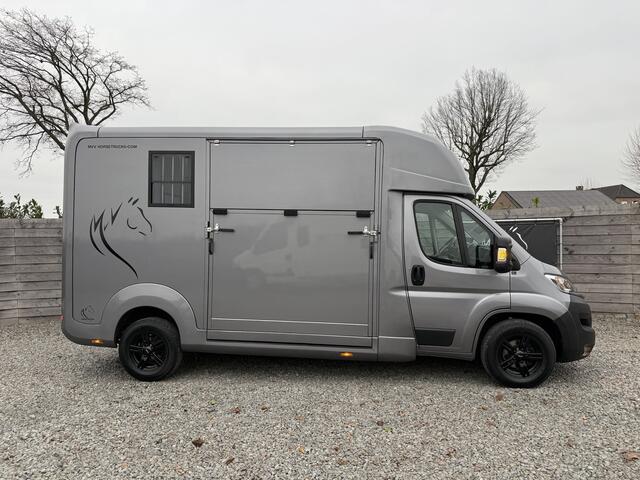 Opel MOVANO HORSETRUCK STX AKX 3XL GREY | 2023 | HENGST | 3-SEAT | 59.101KM | LEER | CAMERA | BELGISCH KENTEKEN