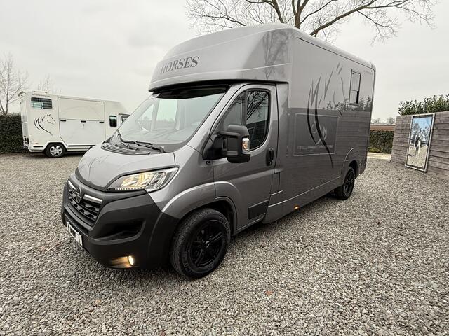Opel MOVANO HORSETRUCK STX AKX 3XL GREY | 2023 | HENGST | 3-SEAT | 59.101KM | LEER | CAMERA | BELGISCH KENTEKEN
