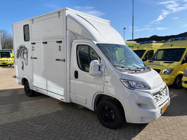 Opel MOVANO Paardenwagen/Veewagen Hengsten Uitvoering Airco Cruisecontrol NIEUW