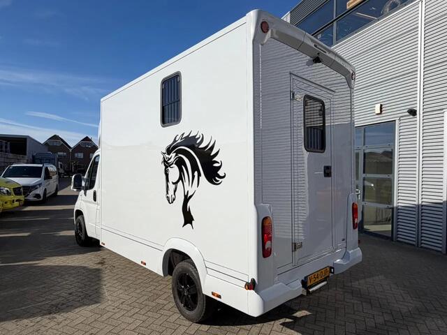 Opel MOVANO Paardenwagen/Veewagen Hengsten Uitvoering Airco Cruisecontrol NIEUW