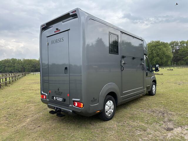 Opel MOVANO AKX 2-paards paardenvrachtwagen B-rijbewijs 3000KG trekhaak!