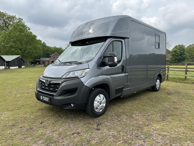 Opel MOVANO AKX 2-paards paardenvrachtwagen B-rijbewijs 3000KG trekhaak!
