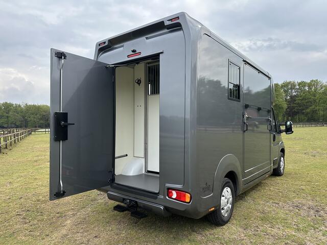 Opel MOVANO AKX 2-paards paardenvrachtwagen B-rijbewijs 3000KG trekhaak!