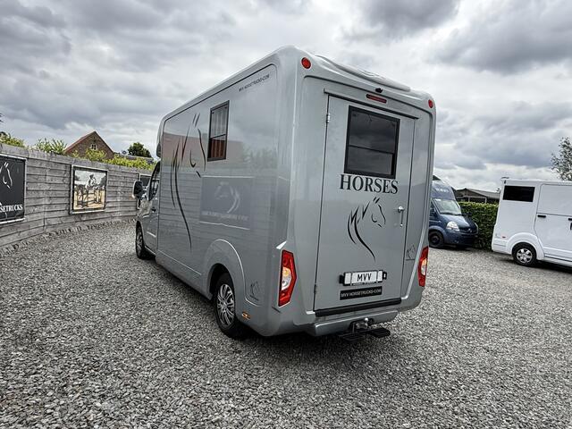 Opel MOVANO | HORSETRUCK | STX | STALLION 3XL | 2019 | HENGST | AUTOMAAT | 60.000KM | 3-SEAT | L3 | LUXE | BELGISCH KENTEKEN