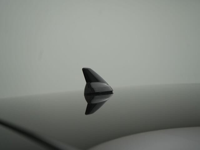 Renault ESPACE 1.8 TCe Initiale Paris 7p. - RIJKLAARPRIJS - All Seasonbanden - Dealeronderhouden - Afneembare Trekhaak - Elektrisch Glazen Panoramadak