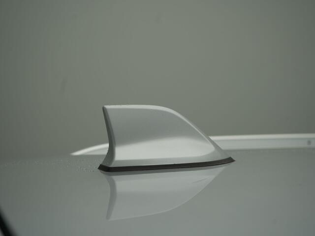 Renault MEGANE Estate TCe 160 EDC Business Edition One - RIJKLAARPRIJS - Unieke auto! - Automaat - Achteruitrijcamera - Cruise Control - Elektrisch glazen schuif-/kanteldak