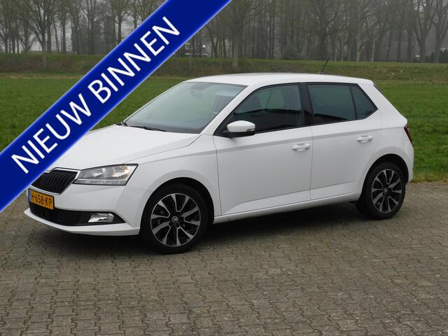 Skoda FABIA 1.0 TSI Business Edition, Carplay, Pdc, Trekhaak