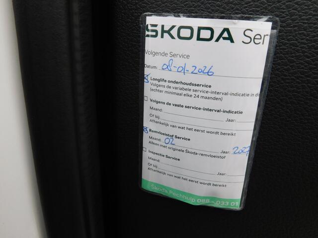 Skoda FABIA 1.0 TSI Business Edition, Carplay, Pdc, Trekhaak