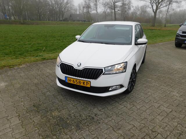 Skoda FABIA 1.0 TSI Business Edition, Carplay, Pdc, Trekhaak