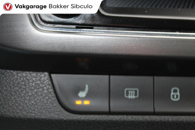 Skoda FABIA 1.0 TSI BUSINESS EDITION CLIMA CRUISE NAVI PDC TREKHAAK