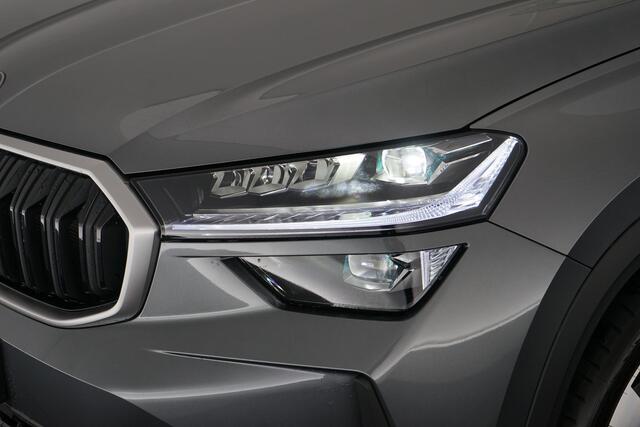 Skoda Kodiaq 1.5 TSI PHEV Business Edition | Pano | Trekhaak