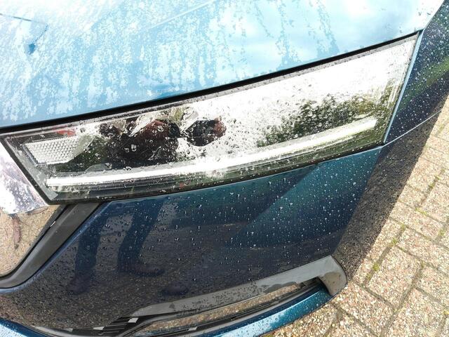 Skoda OCTAVIA COMBI 1.0 e-TSI Hybr BusEd. Navi, Dig.Displ,Camera