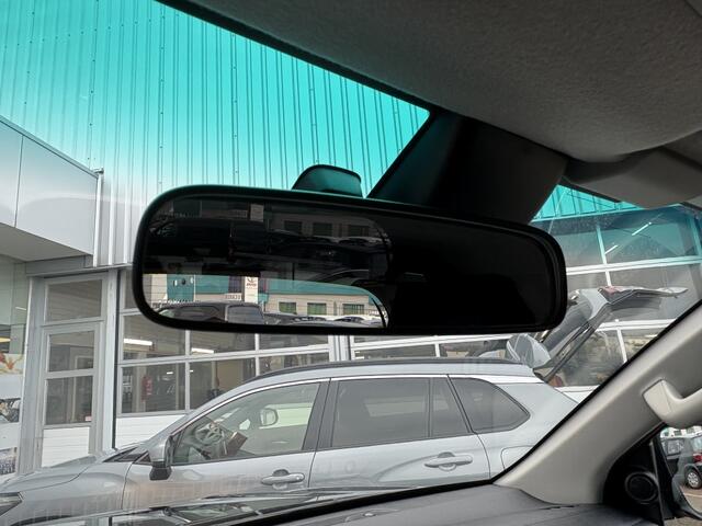 Toyota HI-LUX HiLux 2.4 D-4D DC Professional | 3500kg trekgewicht | Grijs kenteken |