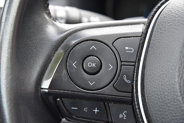 Toyota RAV4 2.5 Hybrid AWD Business Plus | LEDER | TREKHAAK