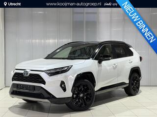 toyota-rav4-bi-tone