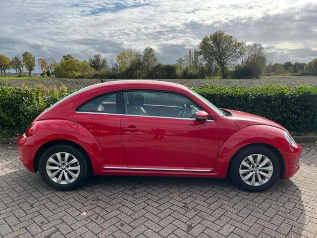 Volkswagen BEETLE (NEW) 1.2 TSI Design BlueMotion / 2016