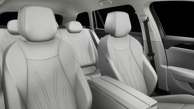 Volkswagen PASSAT Variant 1.5 eHybrid Elegance | Leder | trekhaak | 5 jaar g