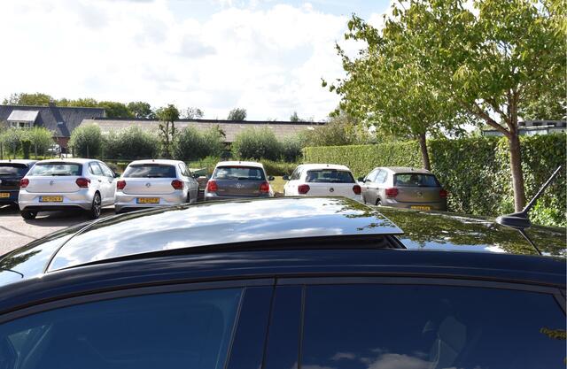 Volkswagen POLO 1.0 TSI 116 PK Highline Pano digdash LED camera ECC PDC NAP 1e eigenaar